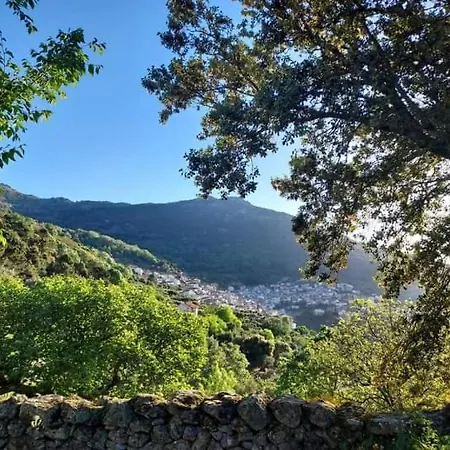 El Burrito De Gredos Pedro Bernardo